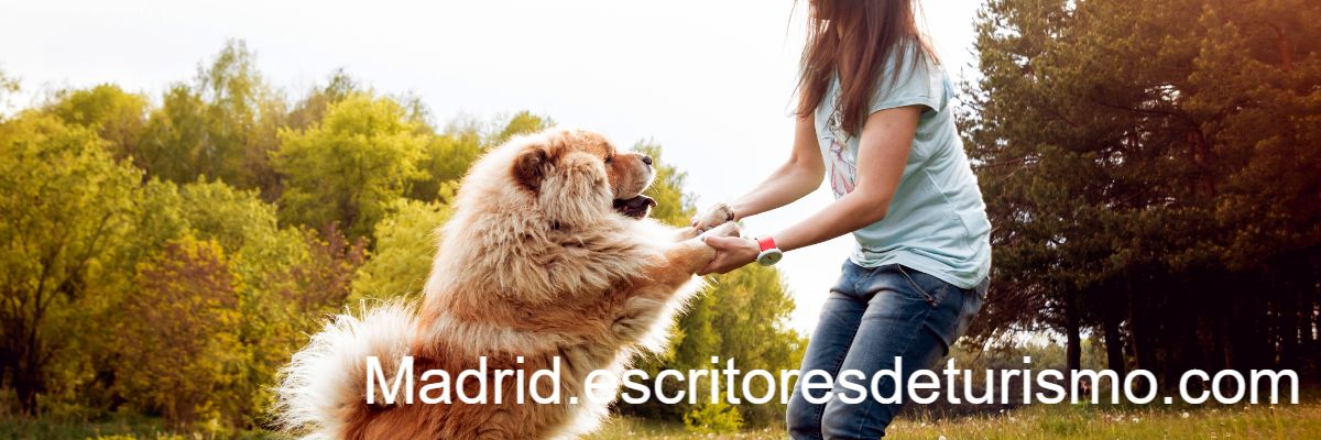 madrid.escritoresdeturismo.com